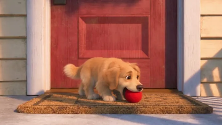 Asleep on the doormat by the red door