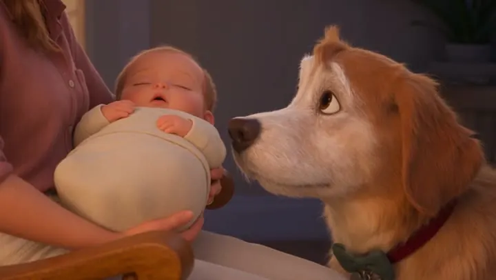 Meeting the new baby