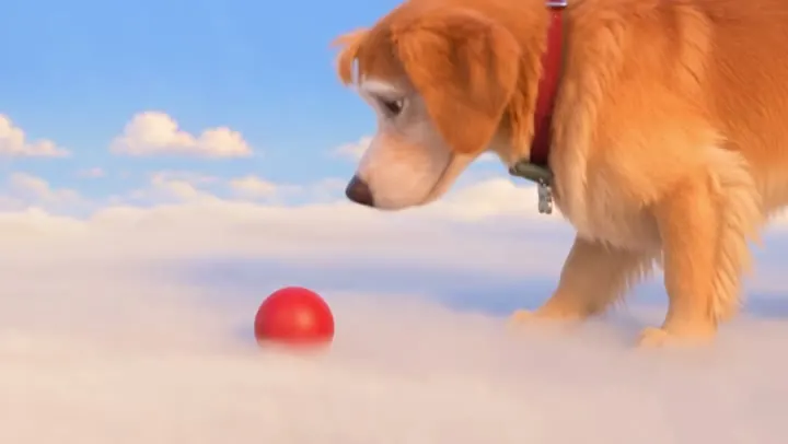Rainbow Bridge video ending: a golden retriever above the clouds